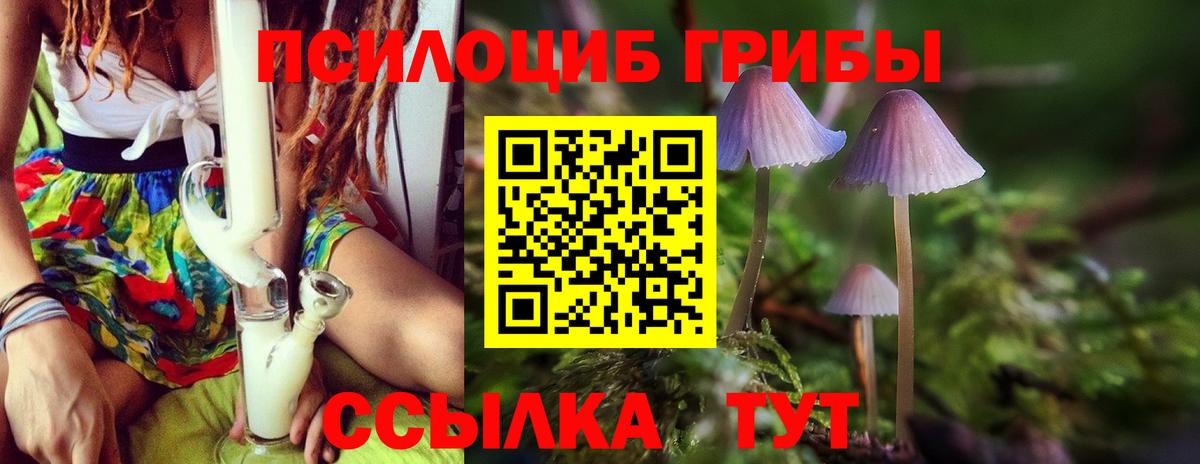 Кирово-Чепецк  Псилоцибиновые грибы мицелий  Галлюциногенные грибы MAGIC MUSHROOMS  Вход с VPN 